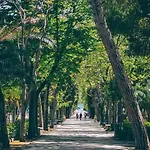 Ognissanti80 Trani