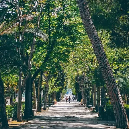 Ognissanti80 טרני